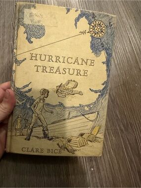 Hurricane Treasure by Clare Bice - Illustrated Hardcover, Cream & Blue